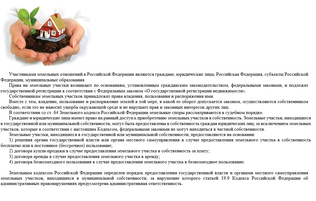 Изображения.